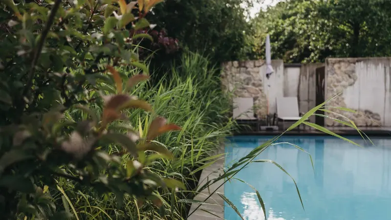 Schwimmbecken zwischen hohen Gräsern und Steinmauern in einem grünen Garten